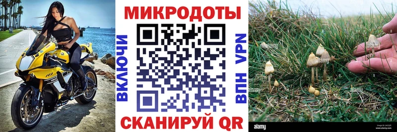 Купить закладки  Нелидово  Галлюциногенные грибы прущие грибы 