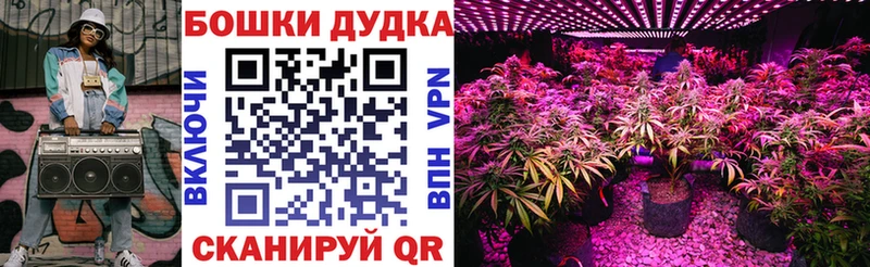 Бошки Шишки марихуана  Купить где  Нелидово 